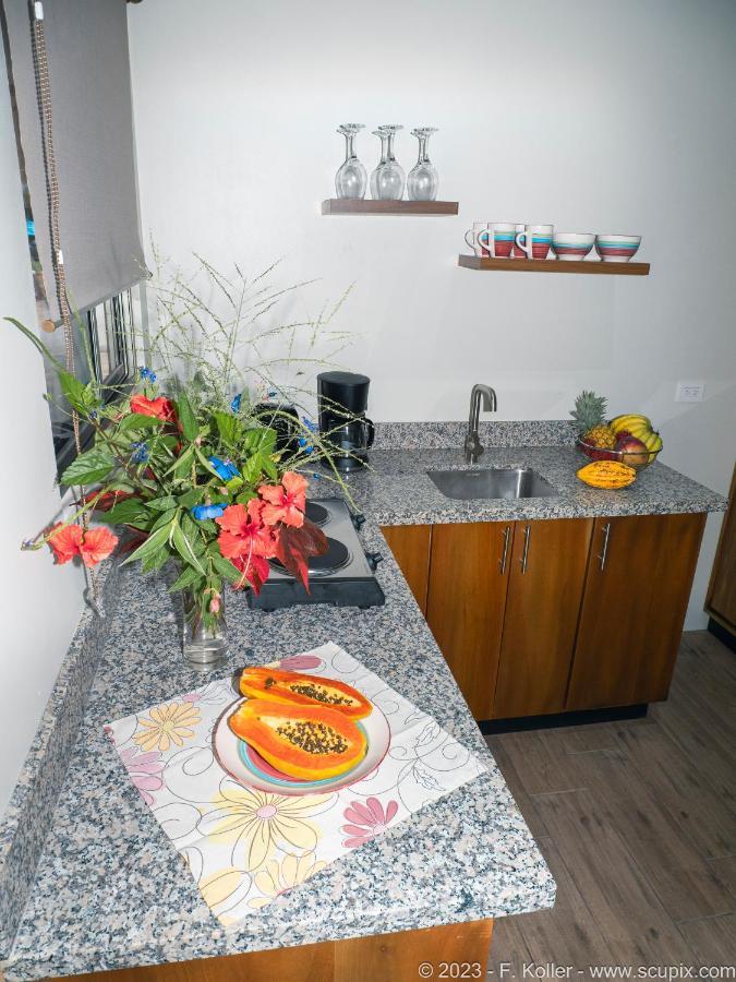 Luxury Apartments Nauyaca By Paradiselodge Platanillo 外观 照片